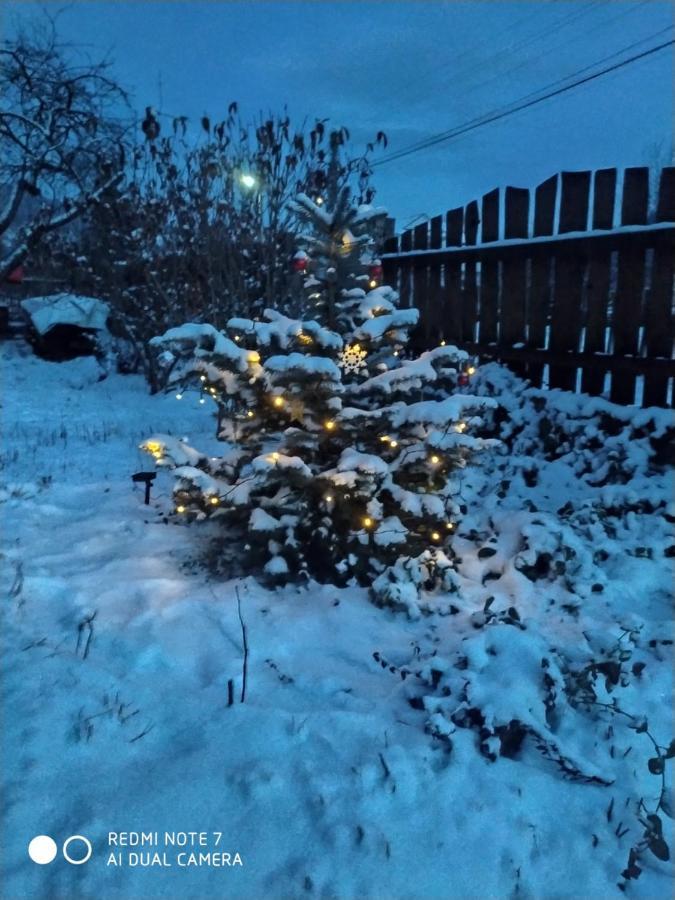 Котедж Кресаня Микуличин Экстерьер фото