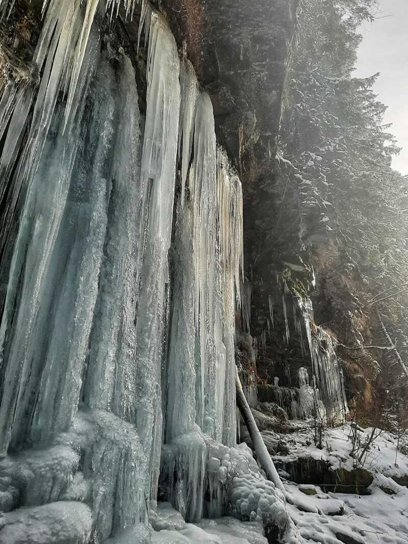 Котедж Кресаня Микуличин Экстерьер фото